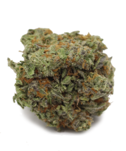Blue Cheese cannabis