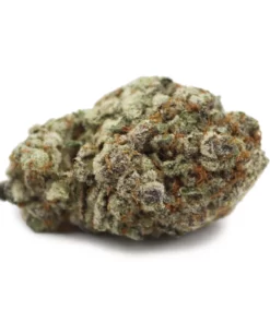 Darkside Strain