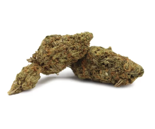 Gelato strain